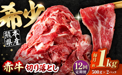 【全12回定期便】 赤牛 切り落とし 1kg（500g×2パック） / お肉 牛肉 あか牛 和牛 熊本県産 冷凍  和牛 あか牛 赤牛 褐毛和種 切り落とし 切り落し 小間切れ こま切れ 冷凍 国産 熊本 熊本県 肥後 熊本県産【五右衛門フーズ熊本店】 [AYBV036]