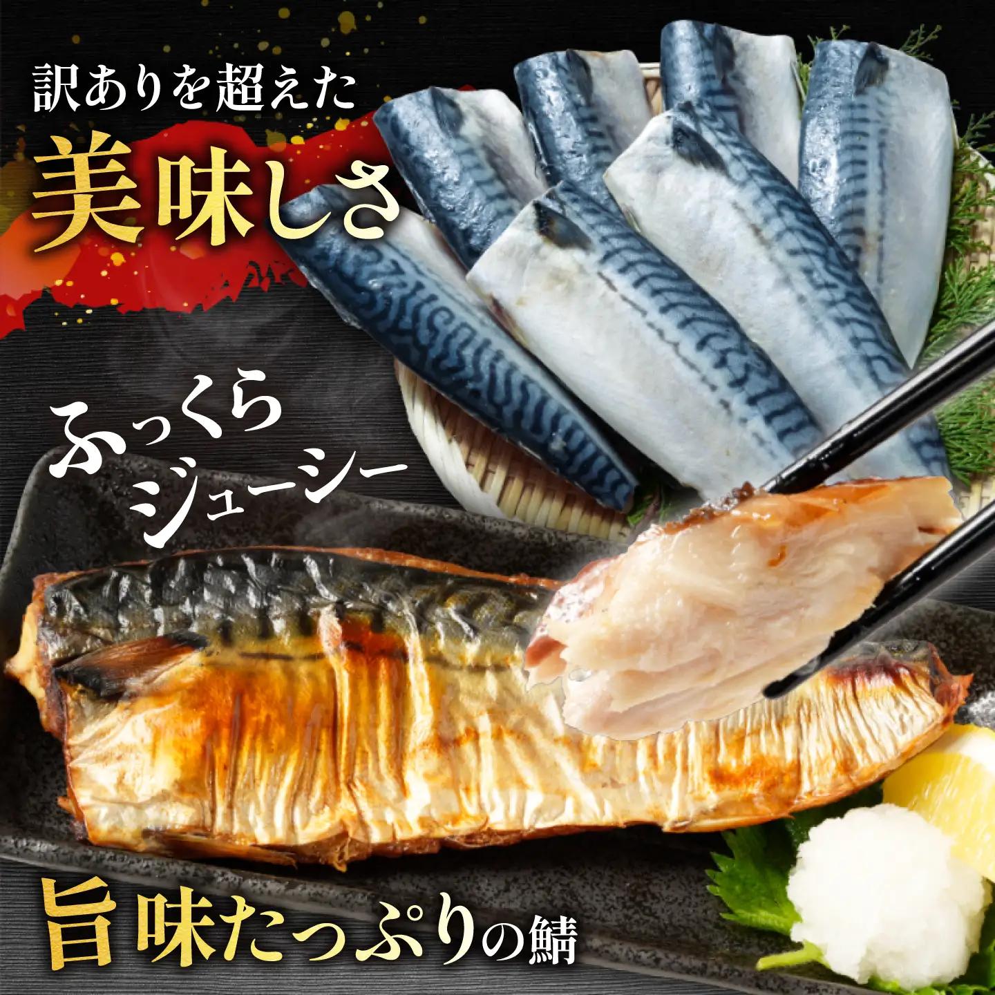 さば 訳あり 約2kg さば