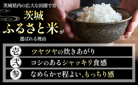 【2か月定期便】米 茨城 ふるさと米 精米 20kg《申込月の翌月より出荷開始》米 お米 白米