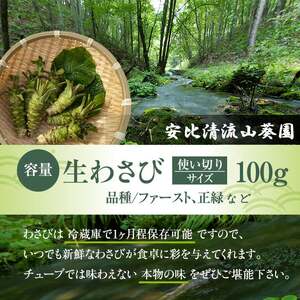 岩手県産 生わさび 使い切りサイズ 100g 【安比清流山葵園】 ／ 山葵 ワサビ わさび 薬味 国産 八幡平市産 産地直送 新鮮 調味料 刺身 蕎麦 和え物 漬け物 刻み おろし 辛味 お寿司 そば