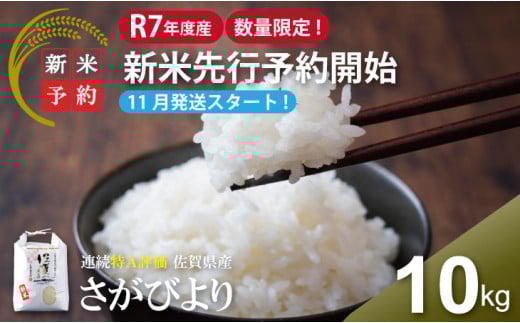 【先行予約 新米 受付開始】【数量限定】R7年度産 佐賀ブランド 米「さがびより」10kg（白米）【11月順次発送予定】 大坪精米所