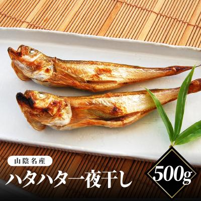 ふるさと納税 兵庫県 山陰名産　ハタハタ一夜干し　500g
