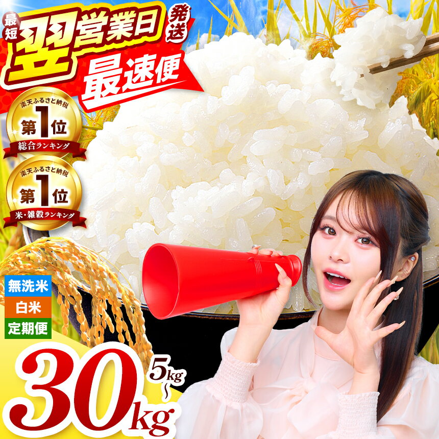 【ふるさと納税】 最速便 選べる配送 無洗米 or 白米 選べる 熊本県産 応援米 / ほたるの灯り / くまさんの輝き 定期便 3回 6回 12回 | 5kg 10kg 15kg 20kg 25kg 30kg 訳あり 米 単一米 ブランド米 ブレンド米 特A 地域 小分け 定期 | 令和7年産 こめ お米 ご飯 ライス 人気