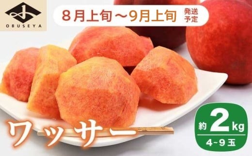 ワッサー 約2kg 4～9玉 ［小布施屋］ フルーツ 果物 長野県産 信州産 クール便 冷蔵便 数量限定 産地直送 令和8年産 【2026年8月上旬～9月上旬発送】［H-101］