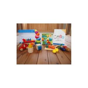 ＜貸出6ヶ月・交換2回＞おもちゃサブスクリプション 月齢に合わせた知育玩具/木のおもちゃ