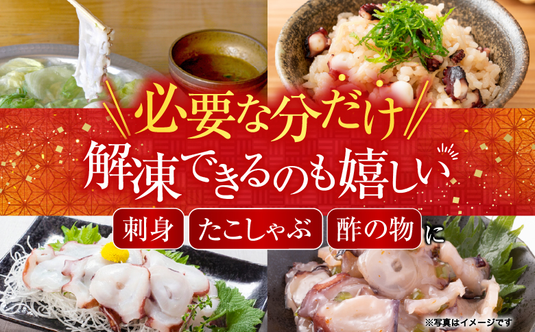 【北海道根室産】たこ足ブロック3～6P(計800g前後～1.4kg前後) A-76036