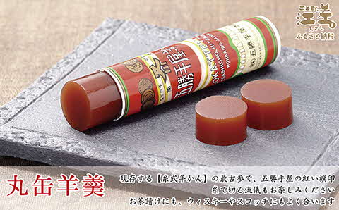 五勝手屋本舗『詰合せ羊羹』（E）流し羊羹4本／ミニ流し羊羹6本／丸缶羊羹6本／ミニ丸缶羊羹4本　金時豆のようかん　保存料不使用　五勝手屋羊羹の老舗　和菓子　銘菓　名物　贈答用　ギフト　お中元　お歳暮　