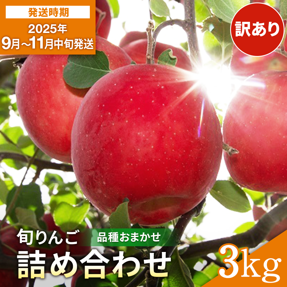 ＼出荷中／ 訳あり りんご 早生 品種おまかせ 家庭用 3kg さんさ こうりん シナノスイート シナノゴールド トキ アキタゴールド 秋田紅あかり の中から 濃厚 で ジューシー な 美味しい 林檎 をお届け【藤山果樹園】[J5-2801]
