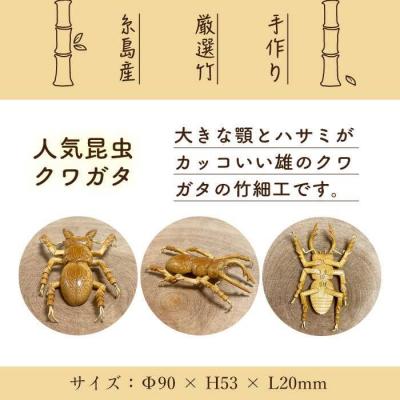ふるさと納税 糸島市 爽風じぃじ 工房の手作り 竹細工 クワガタ【爽風農園】[AIZ001] |  | 01