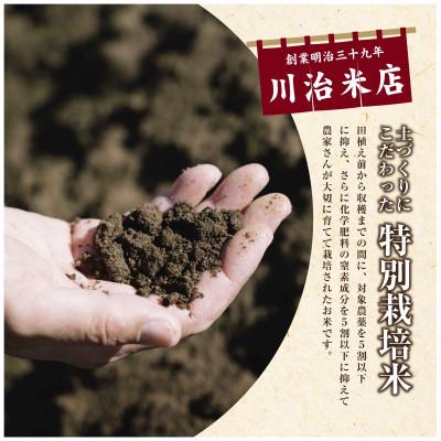 ふるさと納税 十日町市 【令和6年産】魚沼産コシヒカリ 特別栽培米 「魚沼三昧(R)」5kg×1袋 新潟県 十日町市 |  | 01