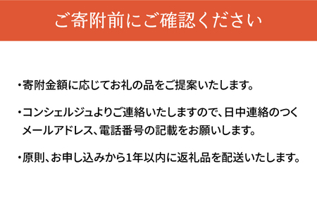 50万円【壱岐市コンシェルジュ】返礼品おまかせ！寄附額 50万円コース [JZY001]