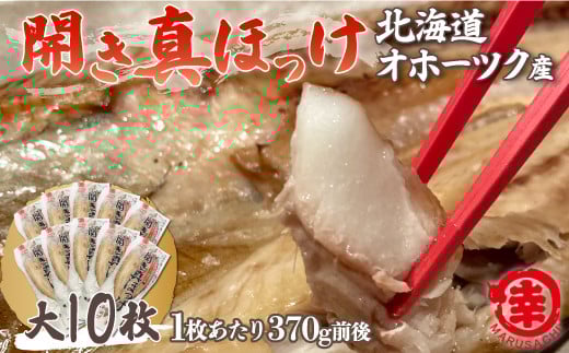 ほっけの開き 大10枚（370g前後） オホーツク産 真ほっけ 【 ふるさと納税 人気 おすすめ ランキング ほっけ ホッケ 開きホッケ 開きほっけ 真ホッケ 真ほっけ 干物 ほっけ干物 ホッケ干物 ギフト プレゼント 贈答 贈り物 焼き魚 海鮮 10枚 冷凍 オホーツク 北海道 佐呂間町 送料無料 】 SRMA019