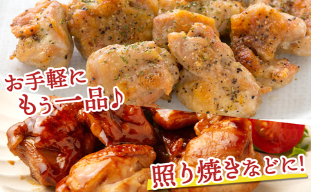 【2025年12月お届け】宮崎県産鶏カットモモ肉3kg(小口真空パック)_MJ-1572-2512