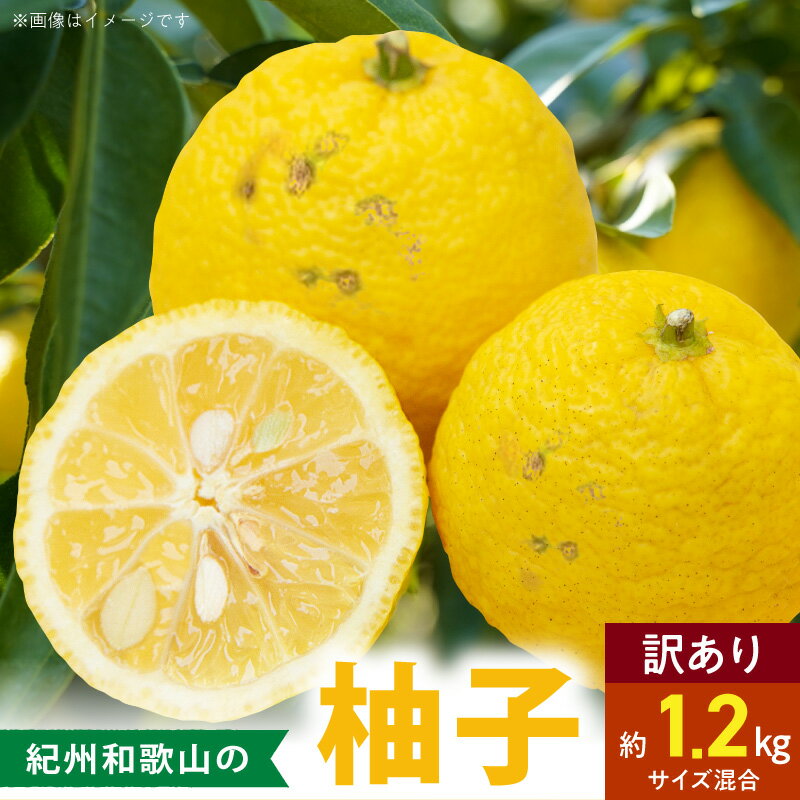 【ふるさと納税】【限定】 【2026年先行予約】 柚子 ご家庭用 訳あり 約1.2kg 国産 紀州和歌山 お取り寄せ 和歌山県 湯浅町 送料無料