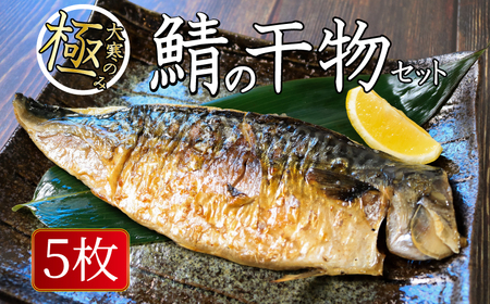 大寒の極み 高級サバ干物 5枚 鯖鯖鯖鯖鯖ｻﾊﾞｻﾊﾞｻﾊﾞｻﾊﾞｻﾊﾞ