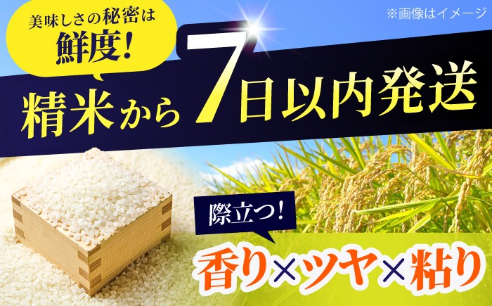 米 お米 白米 ブランド米 ごはん kome rice 10キロ 5kg 小分け