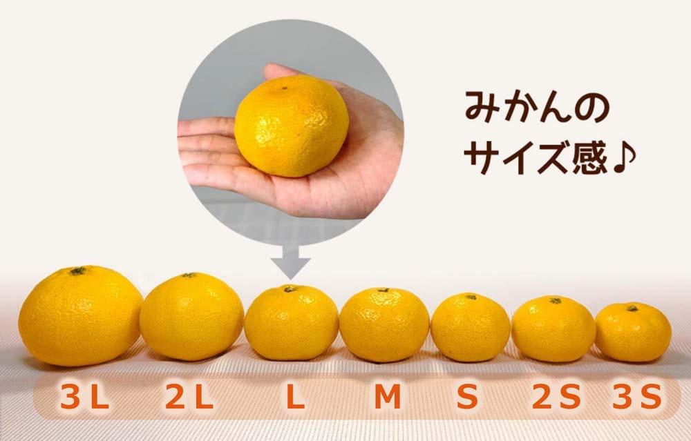 訳あり ゆら早生 みかん 箱込7.5kg(内容量 6.8kg)サイズミックス 有田みかん 和歌山県産 【みかんの会】