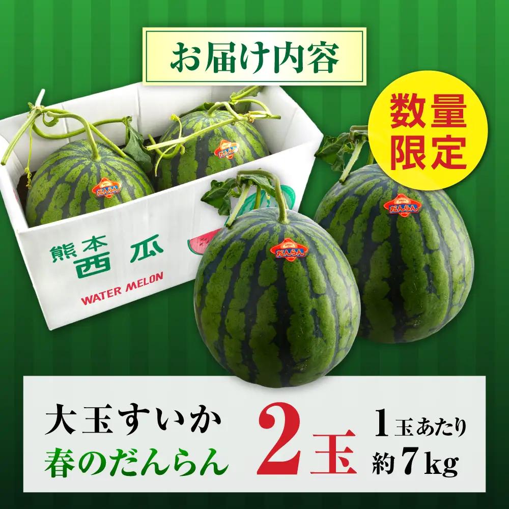 【先行予約】【2027年4月中旬より順次発送】大玉すいか 2玉入（1玉 約7kg） スイカ[AYAB057]