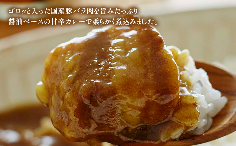【定期便3回】カレー 豚の角煮カレー 10個 セット NISHIKIYA KITCHEN レトルト レトルト食品 レトルトカレー 角煮 豚 惣菜 非常食 災害 防災 備蓄 贈り物 プレゼント ギフト 贈答 ニシキヤキッチン にしき ニシキ にしき食品 常温 常温保存 岩沼市