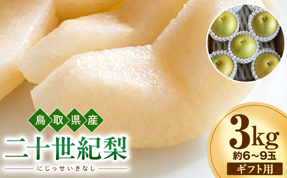 【2026年度先行予約】数量限定　鳥取県産　二十世紀梨　ギフト用　秀品 3kg(約6〜9玉)【8月20日以降発送】 313726_DE007