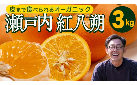 瀬戸内産 オーガニック 紅八朔 3kg 有機JAS認証 有機栽培 旬の果物 産直 お取り寄せ 【2027年1月中旬以降発送】 みかん オレンジ 柑橘 八朔 ハッサク はっさく 果物 フルーツ ビタミン マーマレード ピール 広島 大崎上島