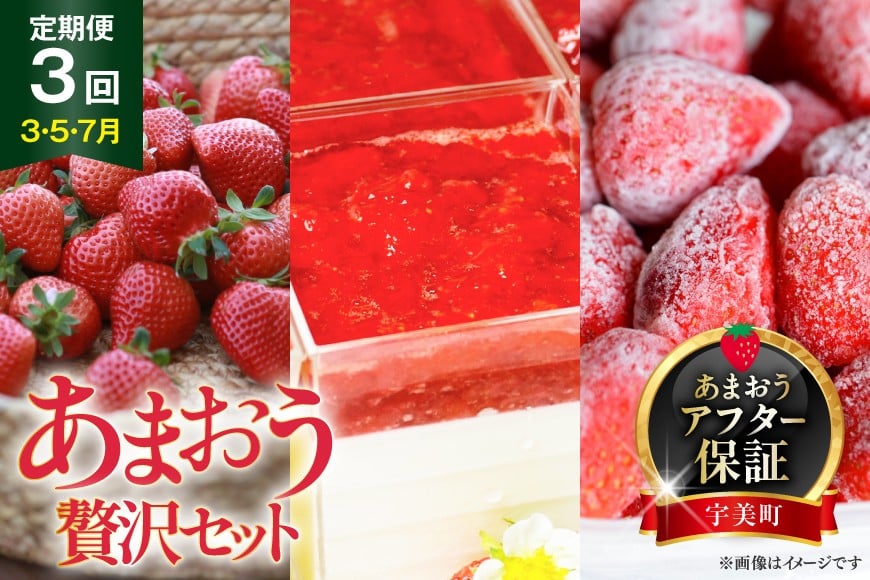 
            【期間限定発送】 いちご 定期便 贅沢セット No2 フレッシュあまおう & 冷凍あまおう & レアチーズケーキ 詰め合わせ [THE FARM_strawberry 福岡県 宇美町 um40azo780009] 先行予約 イチゴ 苺 フルーツ 果物 果実 甘い 小分け 冷凍 ケーキ チーズケーキ 定期 あまい
          