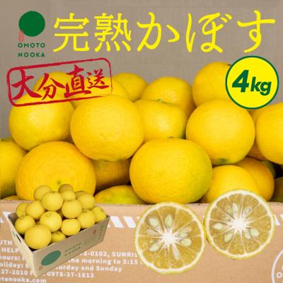 ふるさと納税 宇佐市 おもとの丘の完熟かぼす 4kg【111300401】【株式会社未来農林】