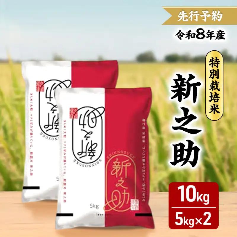 【先行予約】新之助 特別栽培米 三和区 新米 10kg 新之助