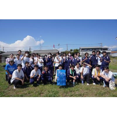 ふるさと納税 裾野市 静岡産　青いかがやきバタフライピーと青いかがやき琥珀糖 |  | 03