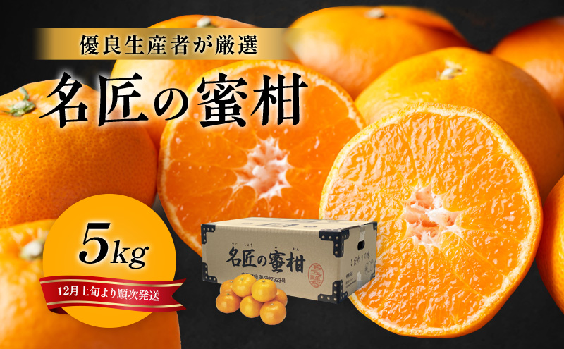 特秀 名匠のみかん 5kg 三ヶ日みかん S〜M 果物 フルーツ