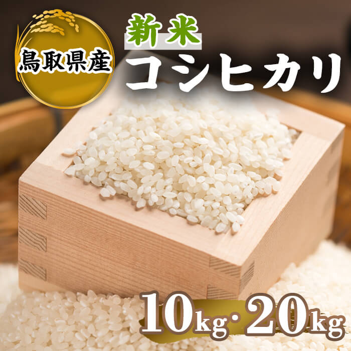 【ふるさと納税】＜先行予約受付中！2025年9月下旬～2026年8月下旬発送予定＞＜数量限定＞＜容量が選べる＞令和7年産新米鳥取県産コシヒカリ(10kg～20kg) 国産 米 お米 おこめ 白米 精米 おにぎり おむすび ごはん お弁当 常温 【sm-DD064】【Workplays】