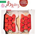 【ふるさと納税】 春のあまおう 2L・2A・G規格以上 約250-270g×4パック 合計約1,000-1,080g あまおう いちご イチゴ 苺 ストロベリー フルーツ 果物 冷蔵 福岡県 岡垣町 送料無料 【2025年3月上旬～4月下旬発送予定】