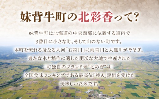 定期便 令和8年産 妹背牛産【北彩香（ゆめぴりか）】白米20kg×全6回 2027年3月発送