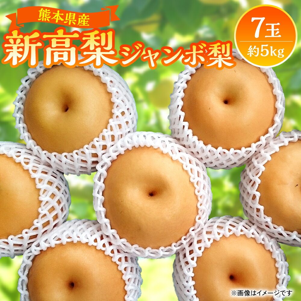 【ふるさと納税】【先行予約】熊本県産　新高梨 ジャンボ梨 7玉 （約5kg）にいたか 果物 くだもの フルーツ 青果物 送料無料【2025年9月中旬より順次発送】