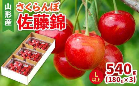 さくらんぼ(佐藤錦) Lサイズ 540g(180g×3パック) 【令和8年産先行予約】FS25-045