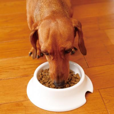 ふるさと納税 玉名市 犬の雑穀ごはんアダルト3kg(玉名市) |  | 03