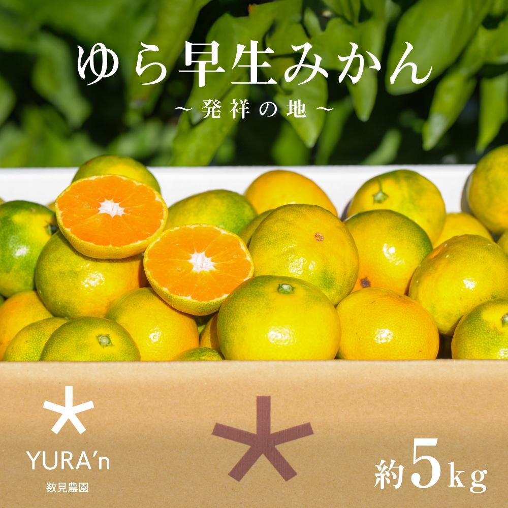 
            和歌山県産 ゆら早生みかん サイズおまかせ5kg  農家直送【2025年10月中旬頃より順次発送予定】
          