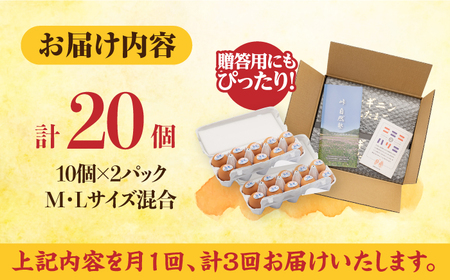 【全3回定期便】 アルギニン 元気たまご 20個 自然栽培 平飼い【浅田峠自然塾】 卵 20個 たまご 鶏卵 玉子 国産 卵かけご飯 たまごかけご飯 すき焼き 目玉焼き [EA02] げんきたまご た