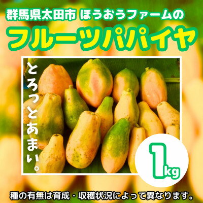 【ふるさと納税】【ほうおうパパイヤ】とろっとあまい!群馬県太田市でうまれた希少な国産フルーツパパイヤ1kg【配送不可地域：離島】【1595253】