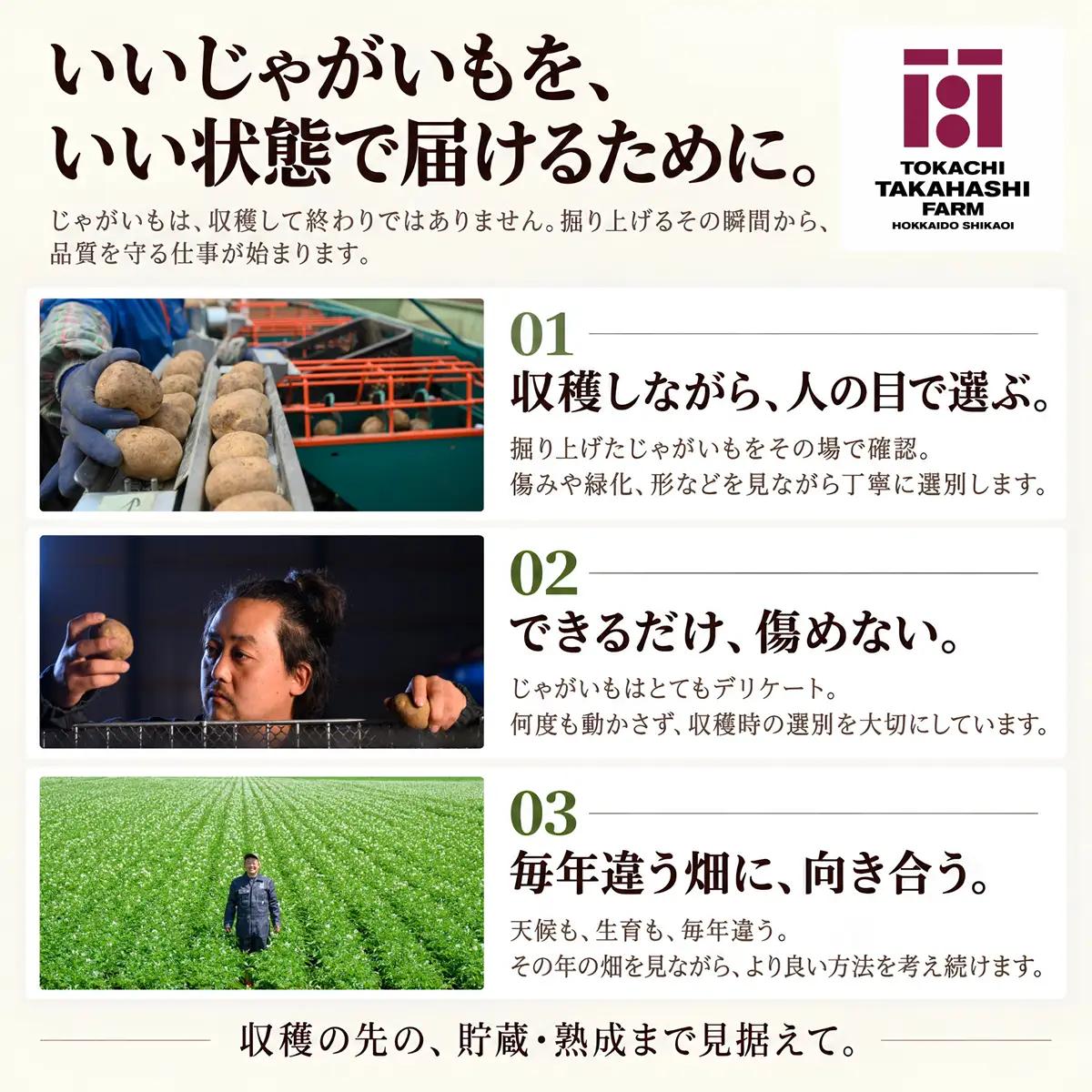 【全3回／メークイン】じゃがいもは、寝かせるほどおもしろい。新じゃが・越冬・1年熟成定期便 SKAH008