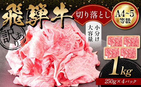A4等級以上 飛騨牛 焼肉 切り落とし 250g × 4 計 1kg 牛肉 ブランド牛 肉 切落し わけあり ぎゅうにく にく ひだぎゅう ひだうし 訳あり 商品 ワケアリ 不揃い 大容量 切り落とし きりおとし 小分け 冷凍 ネオプライムヒグチ 食品 訳有 焼肉セット 焼肉用 選べる 肉のひぐち F6M-328