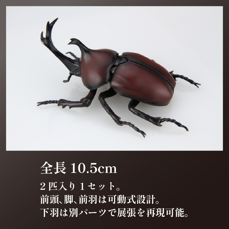 模型 昆虫 自由研究シリーズセット ヘラクレスオオカブト カブトムシ 2セット 玩具 ホビー 夏休み 虫 ヘラクレス 送料無料 フジミ 静岡県 藤枝市
