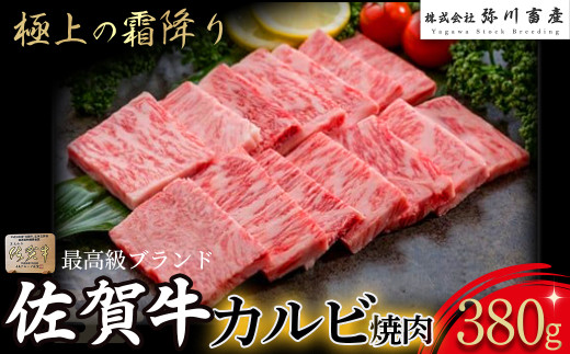 P39x1 佐賀牛 カルビ焼肉 380g カルビ 焼肉 霜降り ギフト 贈答 国産牛 和牛 ブランド牛 牛肉 肉 高級 人気 おすすめ 佐賀県 太良町