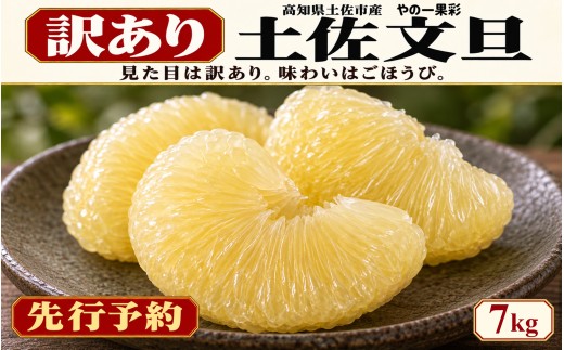 土佐文旦 訳あり 7kg 家庭用 サイズおまかせ M～4L 日本ギフト大賞受賞 文旦発祥の地 園主こだわり 規格外 不揃い 大玉 小玉 高知県土佐市産 高知県産 国産 7キロ ぶんたん みかん 柑橘類 高級フルーツ 果物 わけあり 産地直送 お取り寄せ 先行予約 やの一果彩[BQAC045]