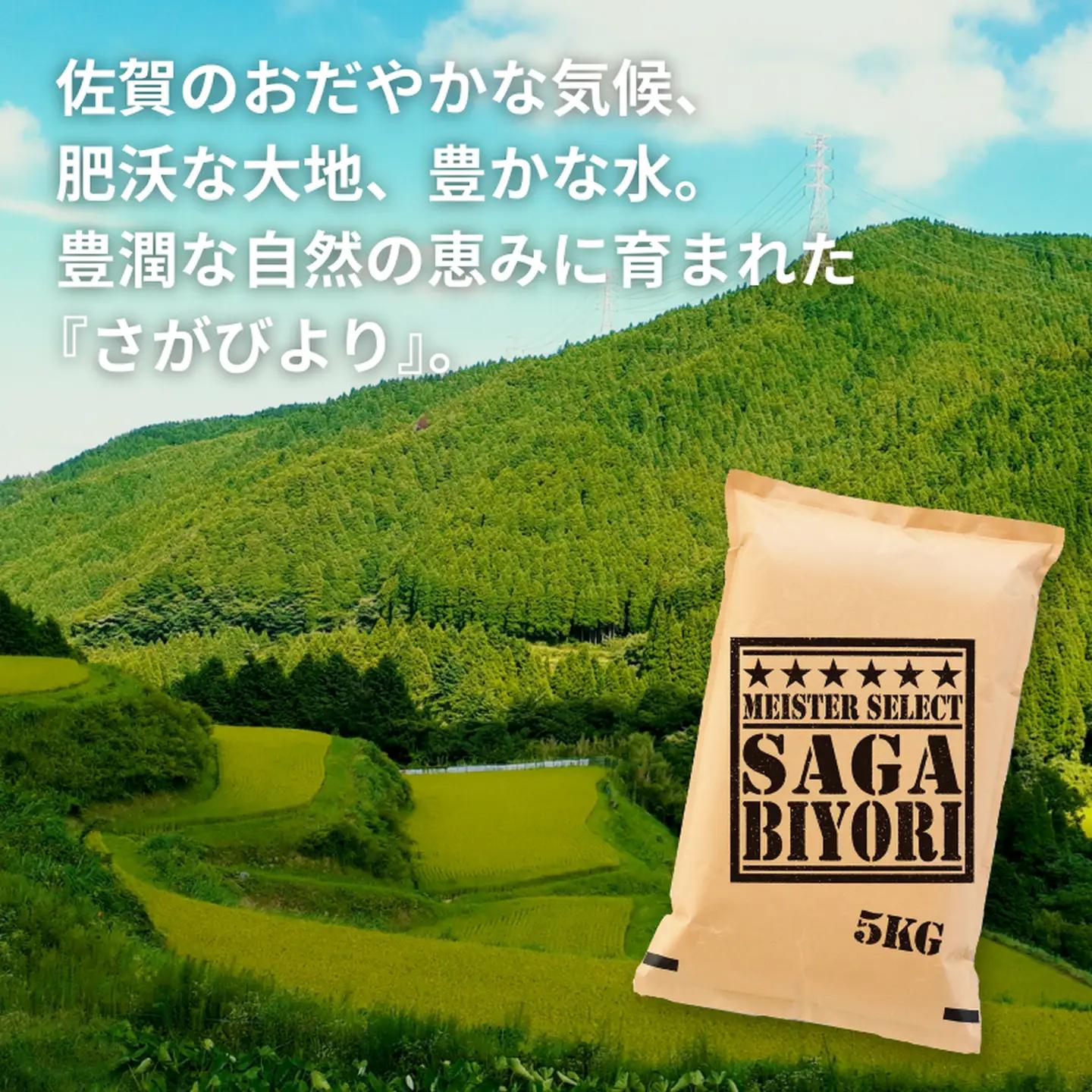 五つ星お米マイスターが厳選！令和7年産 佐賀県産 さがびより 白米 5kg おこめ 米 ：B145-032