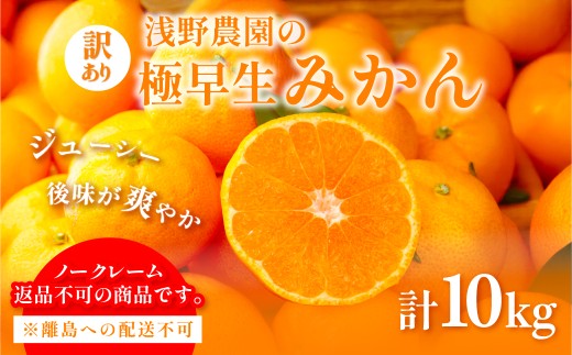 【先行予約】浅野農園の極早生みかん 訳あり計10kg ※着日指定不可 ※離島への配送不可（2026年10月上旬～11月中旬頃に順次発送）  【ふるさと納税 人気 おすすめ ランキング みかん 柑橘 ミカン 蜜柑 mikan 果物 フルーツ オレンジ 訳あり 10kg  早生 愛媛県 伊方町 送料無料】 IKTAC001