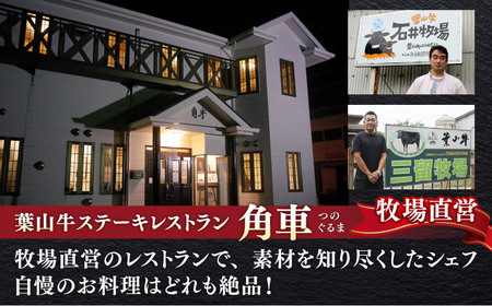 【全6回定期便】葉山牛 少量3種食べ比べセット(ロース・ローススライス・サーロインステーキ)／牛肉 肉 焼肉 神奈川県 葉山町【葉山牛ステーキレストラン 角車】[ASBD025]