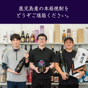s342 軸屋酒造梅酒リキュール・スイートプラム(720ml×2本・14度)【中村商店】