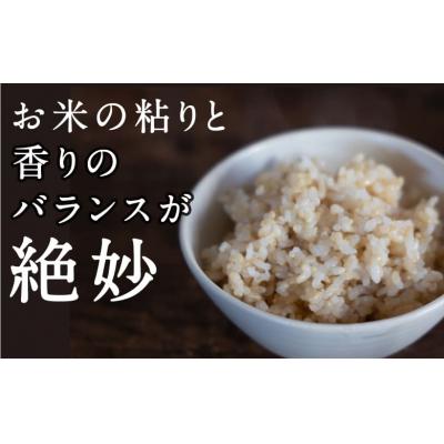ふるさと納税  うきは市 【特Aランク米】五庄屋の地で作ったお米 ひのひかり 玄米 (10kg)【Go庄屋合同会社】 |  | 02