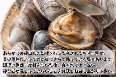 ＜ 2025年1月中旬より順次発送 ＞北海道産 活ホッキ 貝 20個 ＜ 予約商品 ＞ ホッキ 北寄 北寄貝 貝 殻付き 海鮮 海産物 新鮮 旬